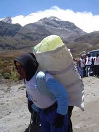Hieleros del Cayambe